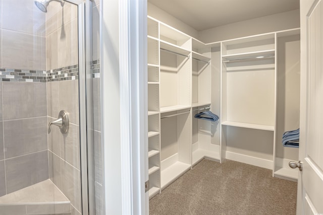 208 Angel Wing Dr, Myrtle Beach, SC 29588 - walk in closet with carpet flooring