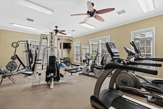 5012 Lindrick Ct, Myrtle Beach, SC 29579 - gym featuring crown molding, visible vents, and a ceiling fan