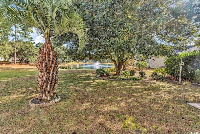 view of yard with a water view