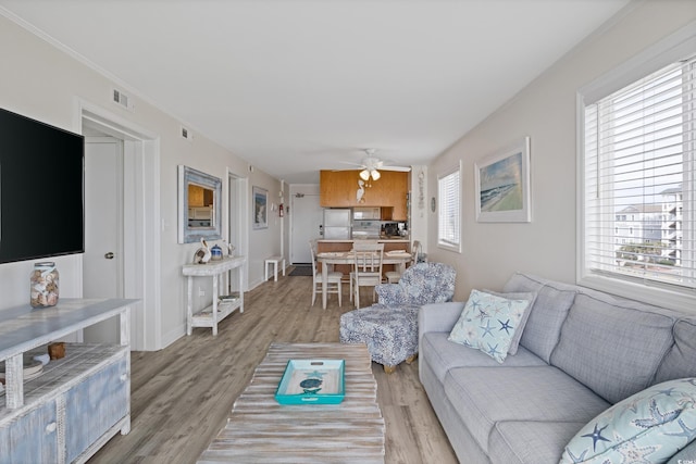 living room featuring ceiling fan, crown molding, a healthy amount of sunlight, and light hardwood / wood-style floors