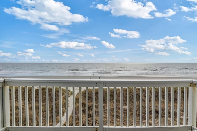 water view with a view of the beach