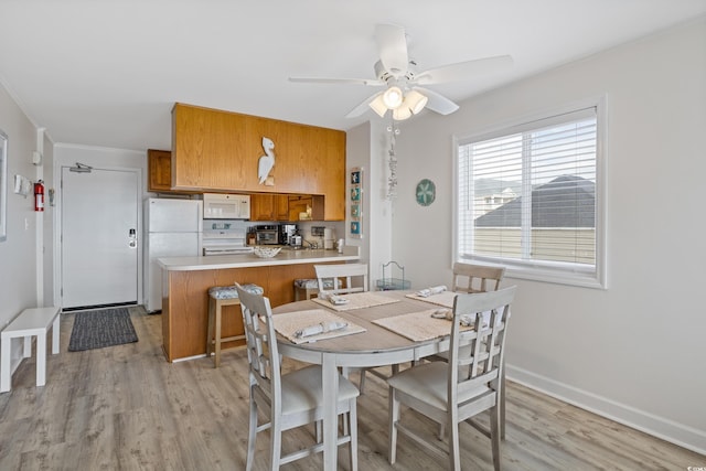 dining room with light hardwood / wood-style flooring and ceiling fan