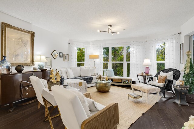 living room featuring a wealth of natural light, a notable chandelier, a textured ceiling, and hardwood / wood-style flooring