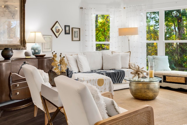 living room featuring hardwood / wood-style floors