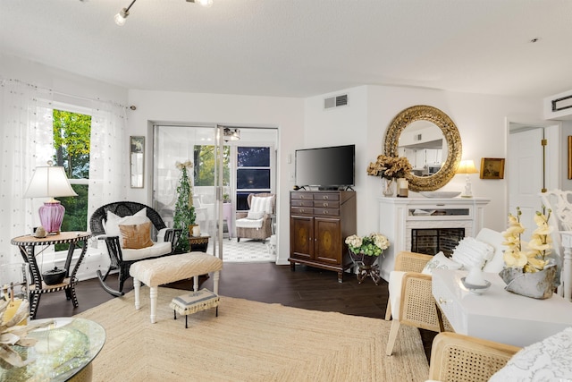 living room featuring dark hardwood / wood-style flooring