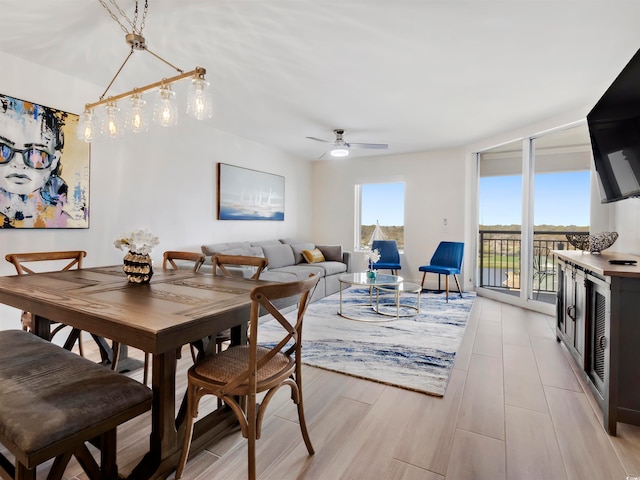 dining area featuring light hardwood / wood-style flooring and ceiling fan