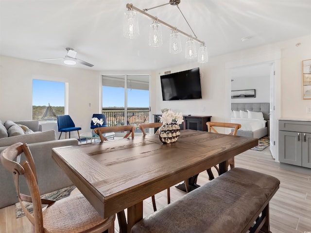 dining room with ceiling fan and light hardwood / wood-style flooring