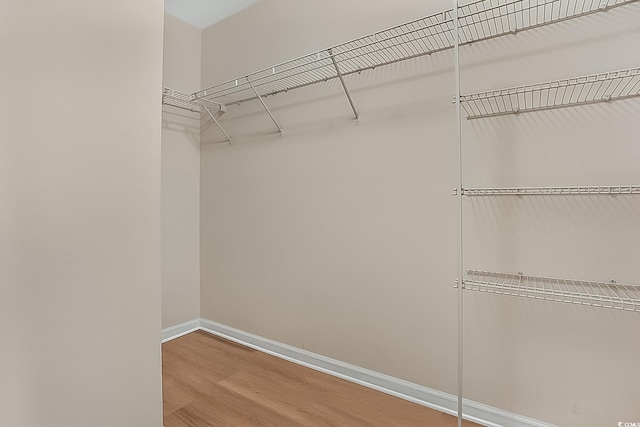 spacious closet with wood-type flooring