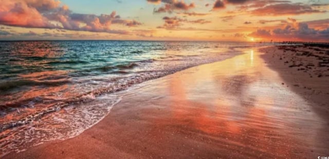 property view of water featuring a beach view