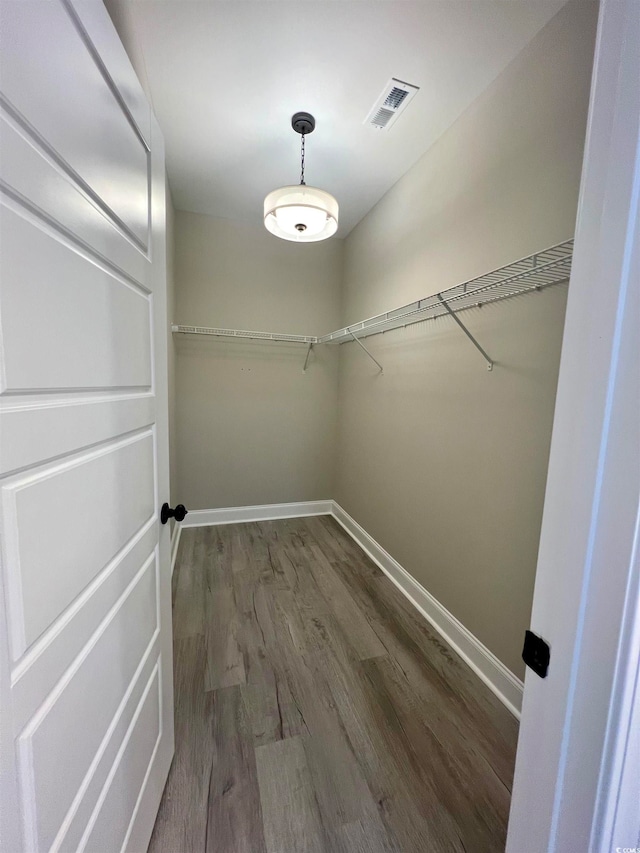 spacious closet with hardwood / wood-style flooring