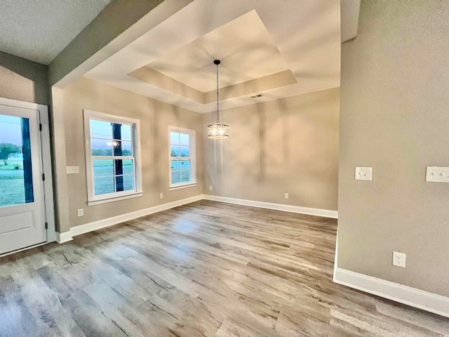 unfurnished dining area featuring hardwood / wood-style floors and a raised ceiling