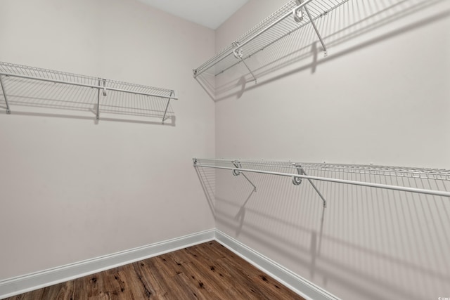 walk in closet with wood-type flooring