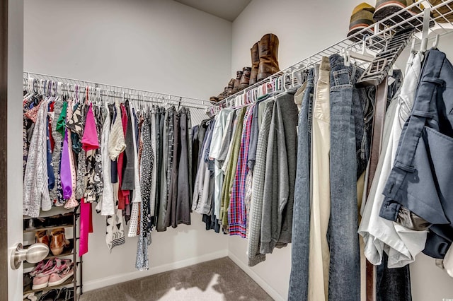 walk in closet featuring carpet flooring