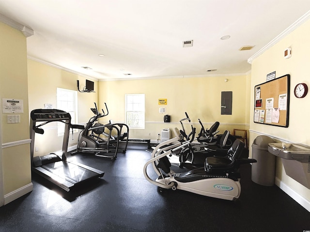 gym with electric panel and crown molding