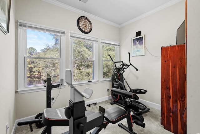 exercise room with crown molding, plenty of natural light, and carpet floors