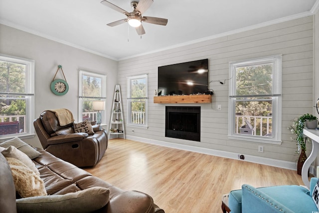 living room featuring a fireplace, a healthy amount of sunlight, and light hardwood / wood-style floors