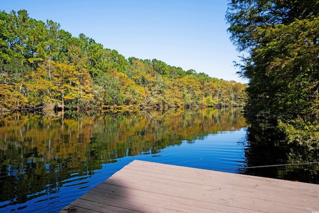 view of dock featuring a water view