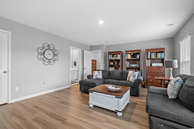 living room featuring wood-type flooring