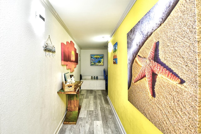 corridor featuring hardwood / wood-style flooring and crown molding