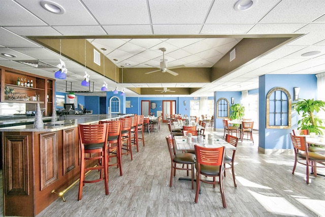 dining room with a paneled ceiling, ceiling fan, and light hardwood / wood-style flooring