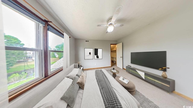 bedroom with multiple windows, ceiling fan, and carpet floors