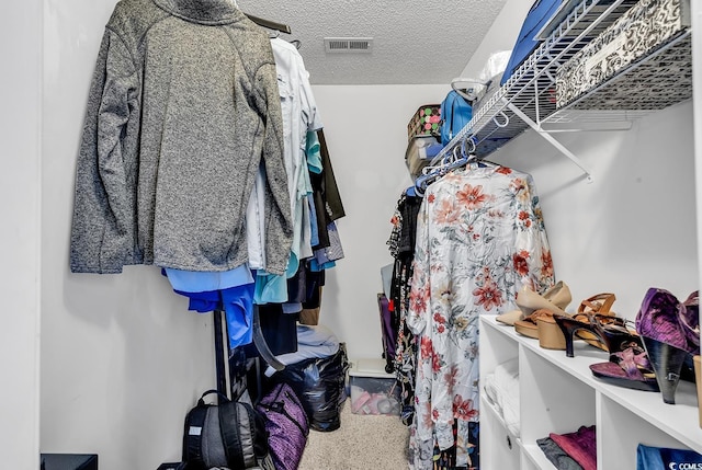 view of walk in closet