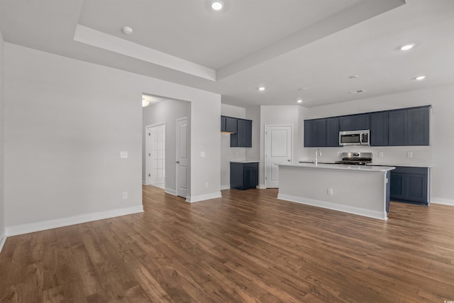 kitchen with dark wood-style floors, recessed lighting, a sink, and appliances with stainless steel finishes