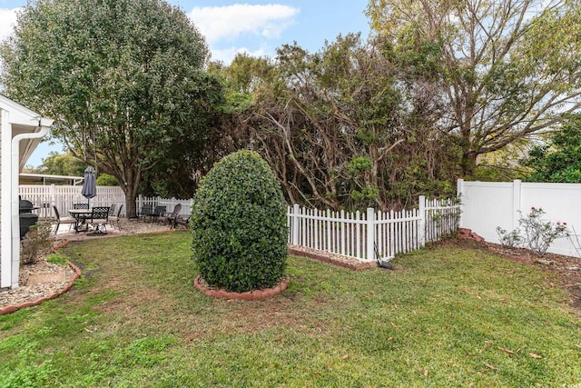 view of yard featuring a patio area