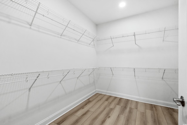 spacious closet with wood-type flooring