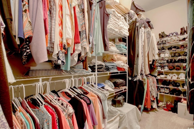 walk in closet featuring carpet flooring