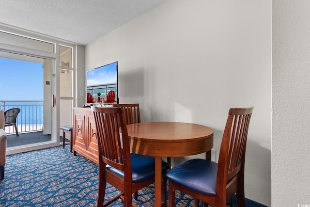 carpeted dining room with plenty of natural light and a textured ceiling