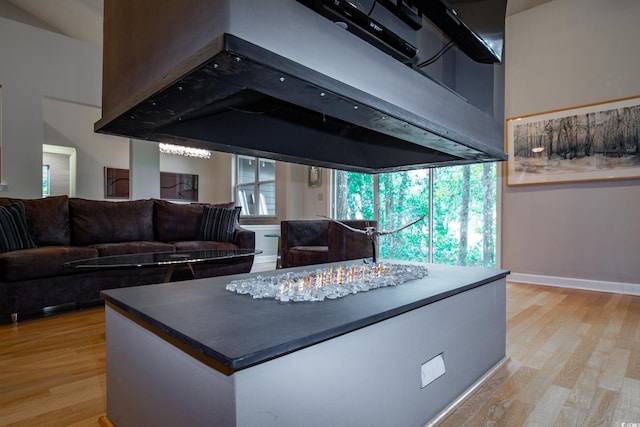 kitchen with light hardwood / wood-style flooring and ventilation hood