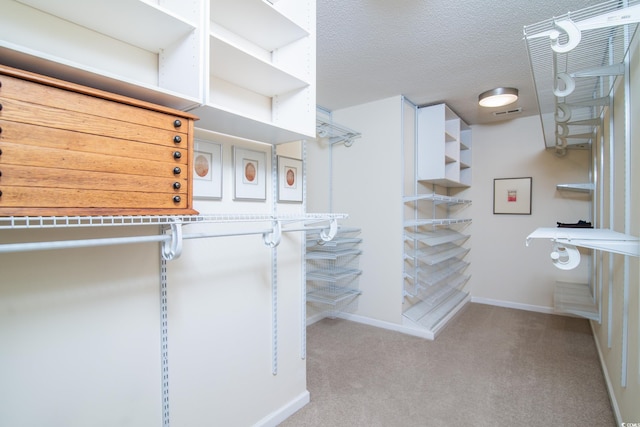 spacious closet with light carpet