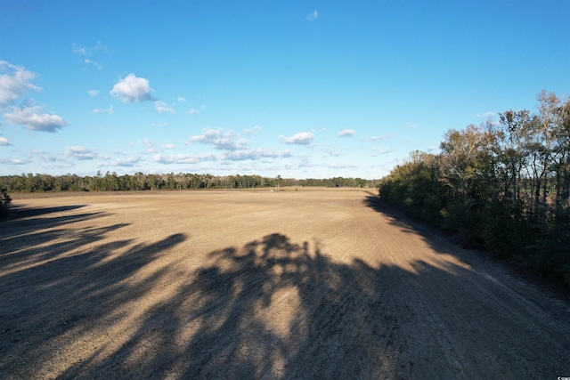 Listing photo 2 for 15.98ACRES-TBD Williamson Rd, Hemingway SC 29554