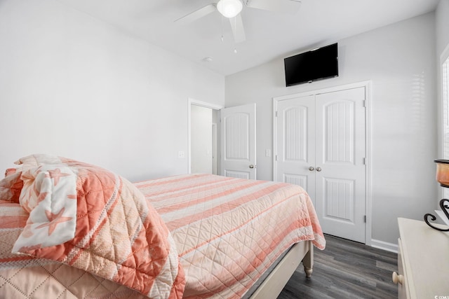 bedroom with ceiling fan, dark hardwood / wood-style flooring, and a closet