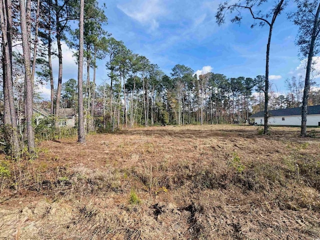 Listing photo 2 for LOT11 Leadwood St, Andrews SC 29510