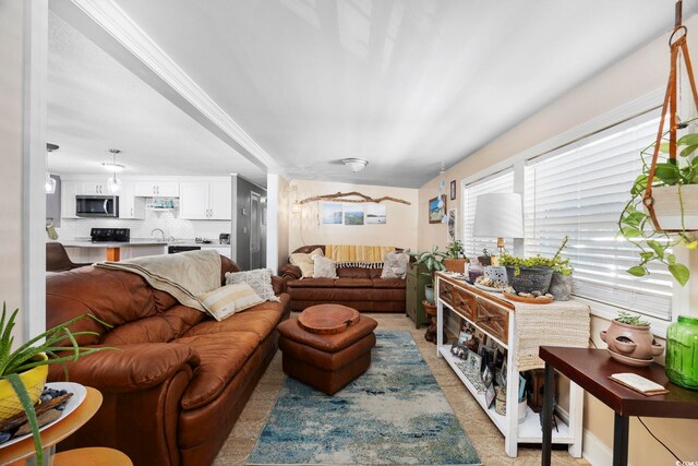 living room with sink