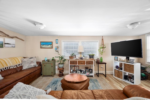 living room featuring light hardwood / wood-style flooring