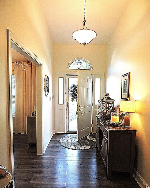 foyer featuring dark hardwood / wood-style flooring