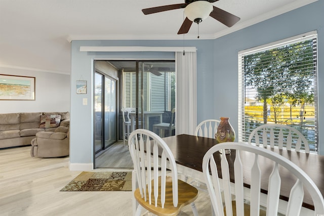 dining area featuring ceiling fan, plenty of natural light, light hardwood / wood-style floors, and ornamental molding