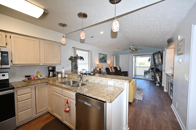 kitchen with kitchen peninsula, appliances with stainless steel finishes, dark hardwood / wood-style flooring, and sink