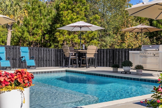 view of pool featuring area for grilling, an outdoor kitchen, and a patio