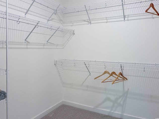 spacious closet with carpet flooring