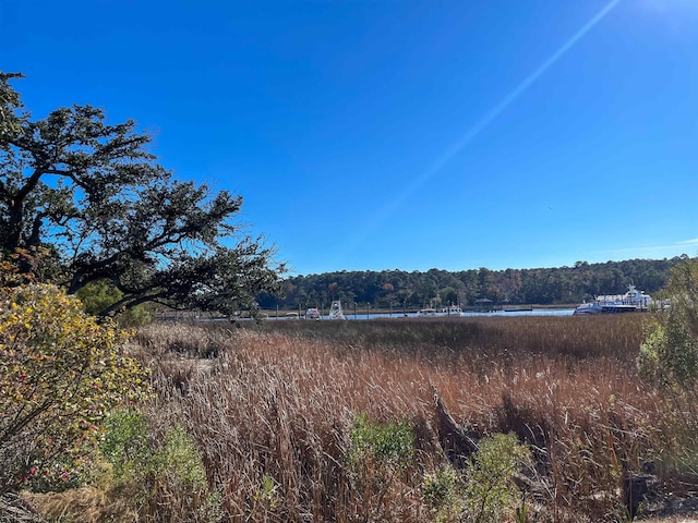 view of nature with a water view