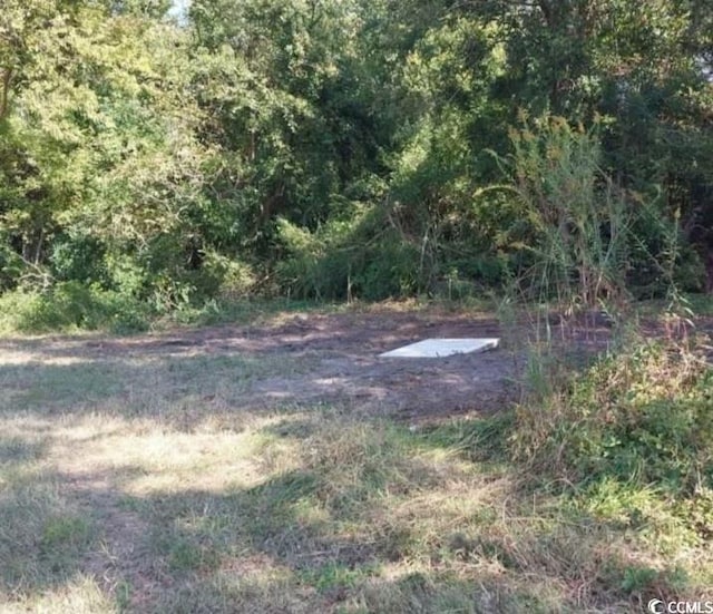 LOT1 Davis Ln, Mullins SC, 29574 land for sale