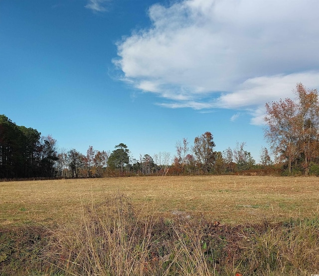 Listing photo 2 for LOT1 Davis Ln, Mullins SC 29574