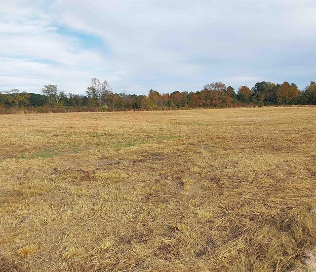 Listing photo 3 for LOT1 Davis Ln, Mullins SC 29574