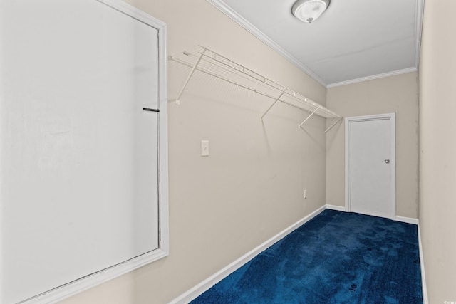 spacious closet with dark carpet