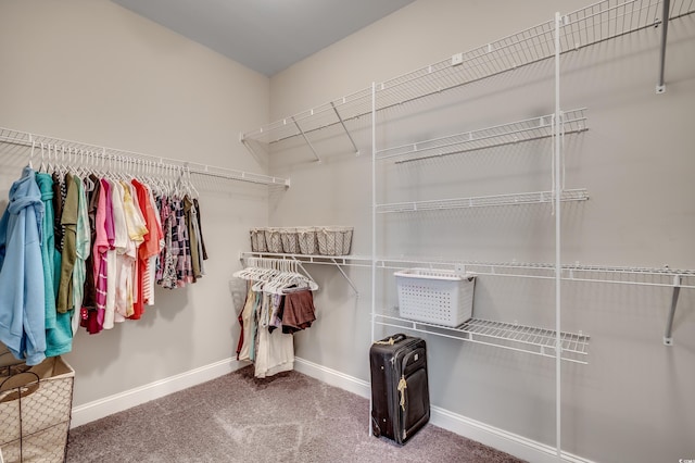 walk in closet featuring carpet flooring