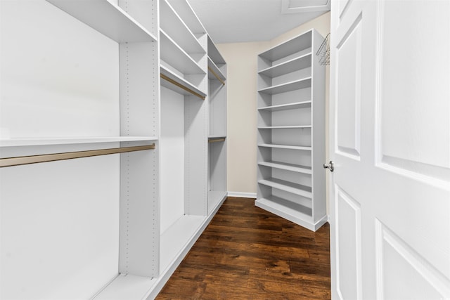 spacious closet with dark wood-type flooring